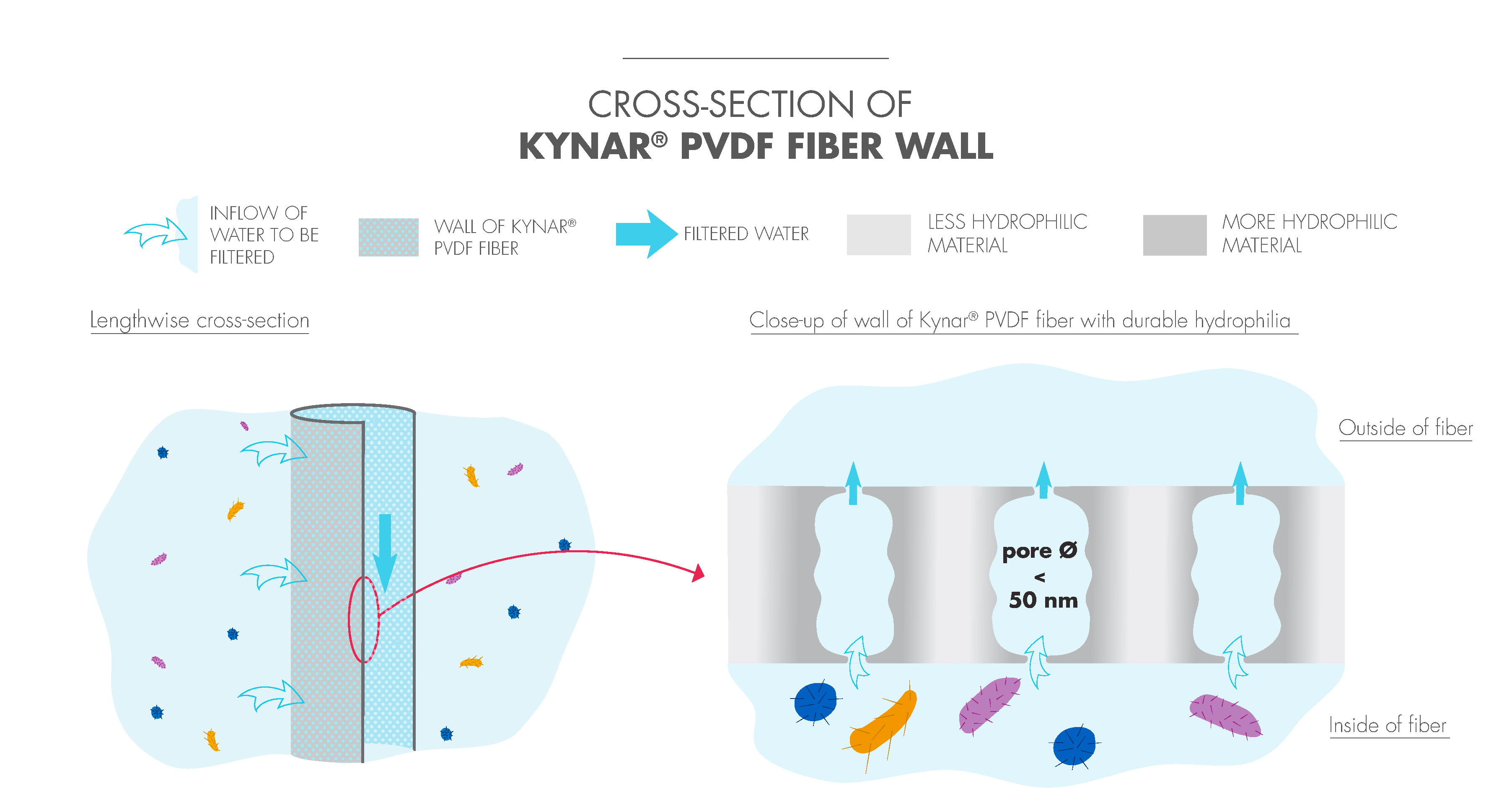 capsule-cross-section-kynar-pvdf-fiber-wall.png
