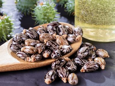 Castor beans and castor oil image