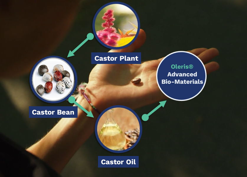 Castor bean to advanced bio-materials