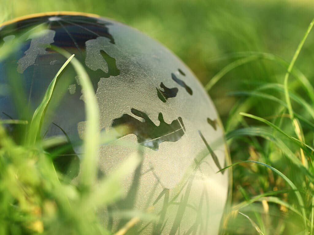 globe in grass