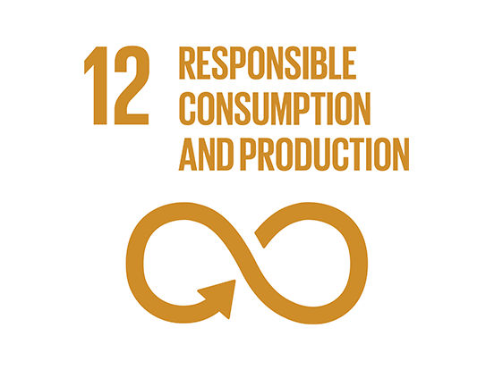 teaser-responsible-consumption-production.png